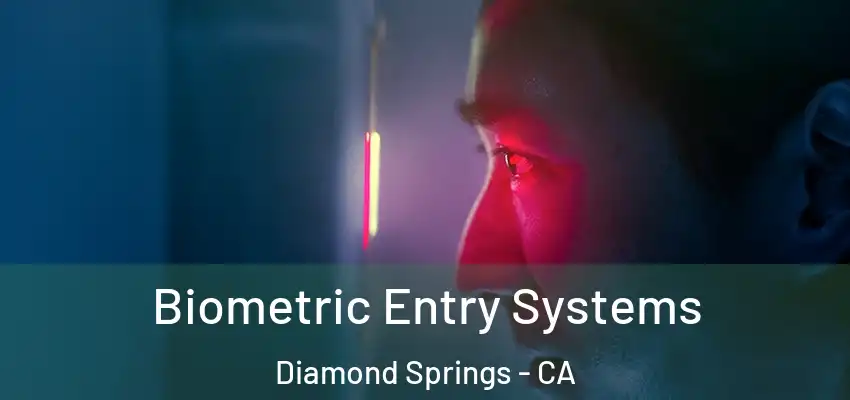 Biometric Entry Systems Diamond Springs - CA