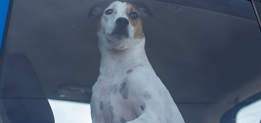 Car Lockout Solutions in Diamond Springs, California